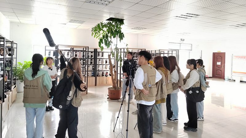 媒介投放案例步骤详解：从策略到执行的全过程解析