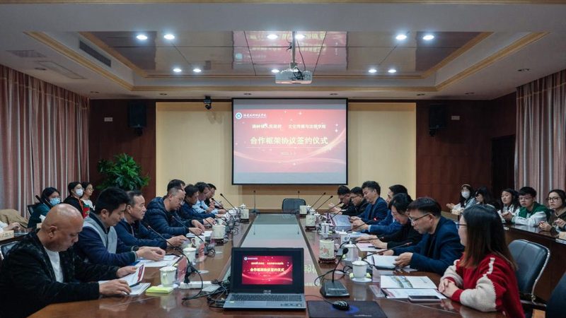 揭秘小型三维动画公司的选择之道